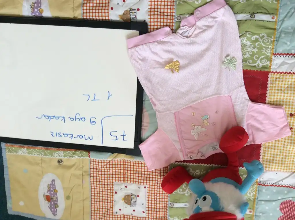 image.webp