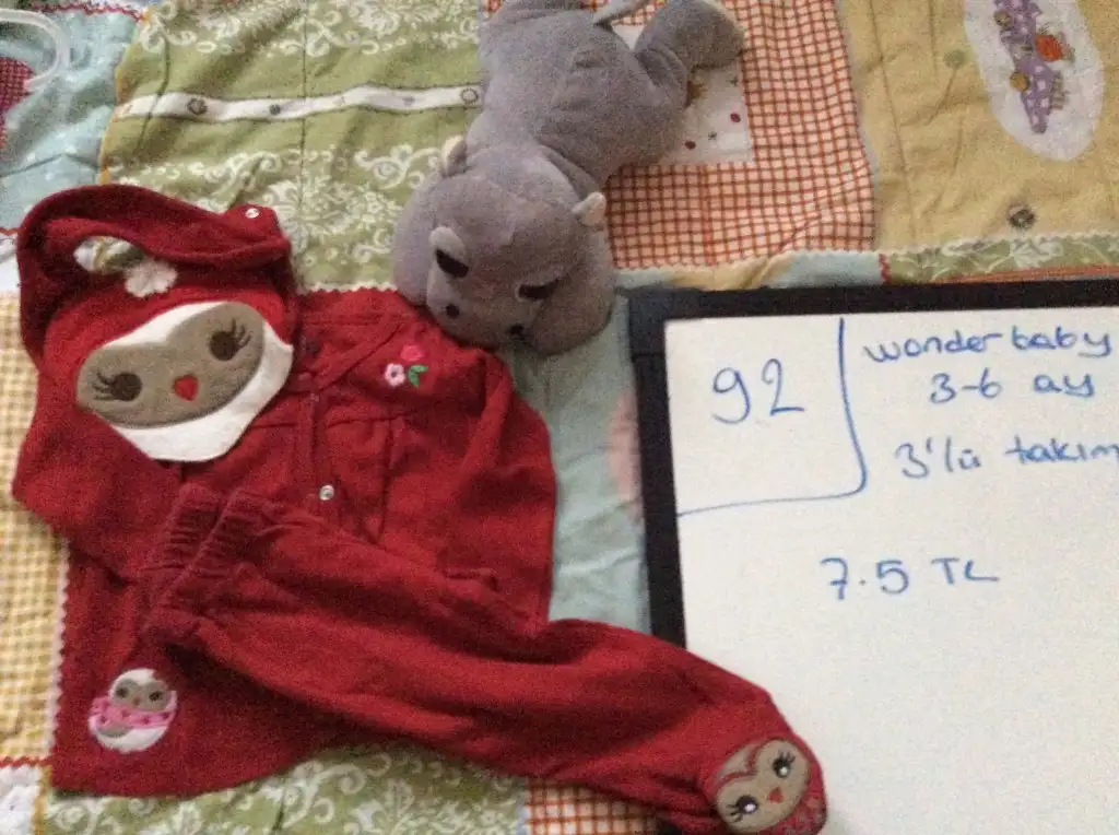 image.webp