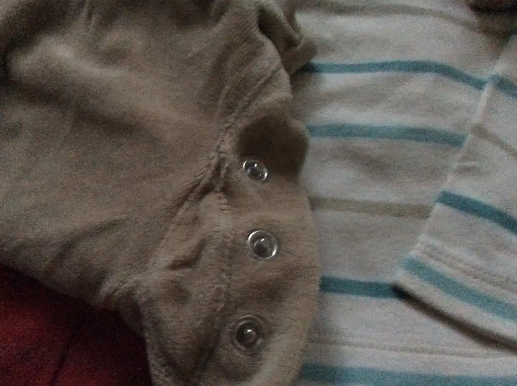image.webp