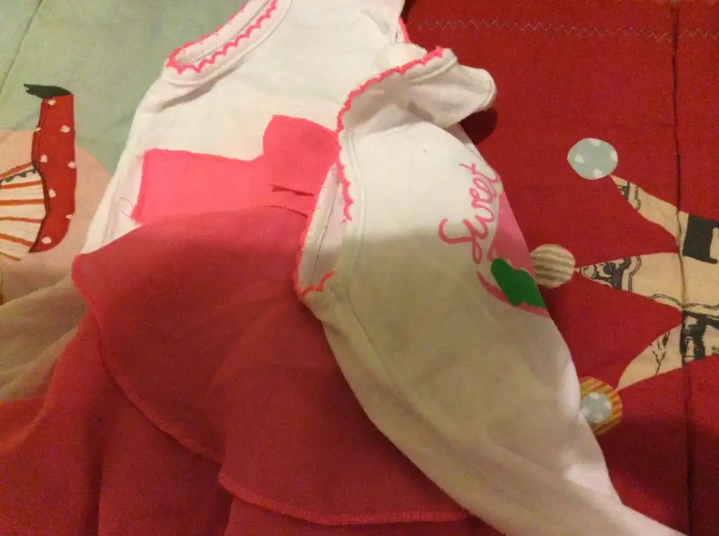 image.webp