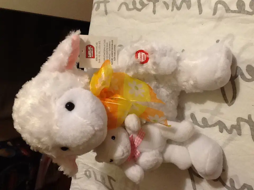 image.webp