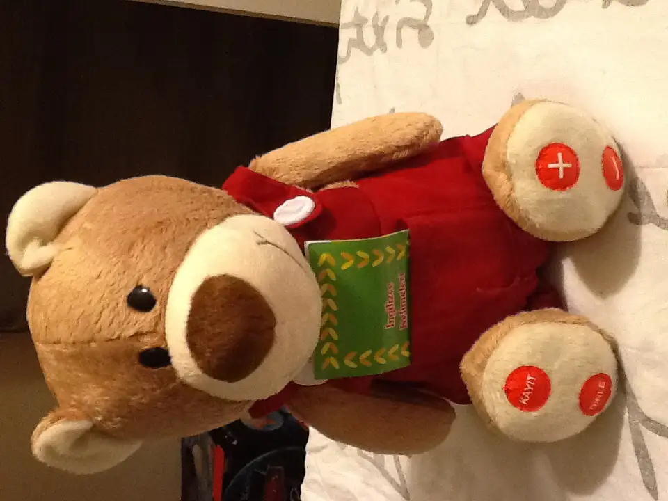 image.webp