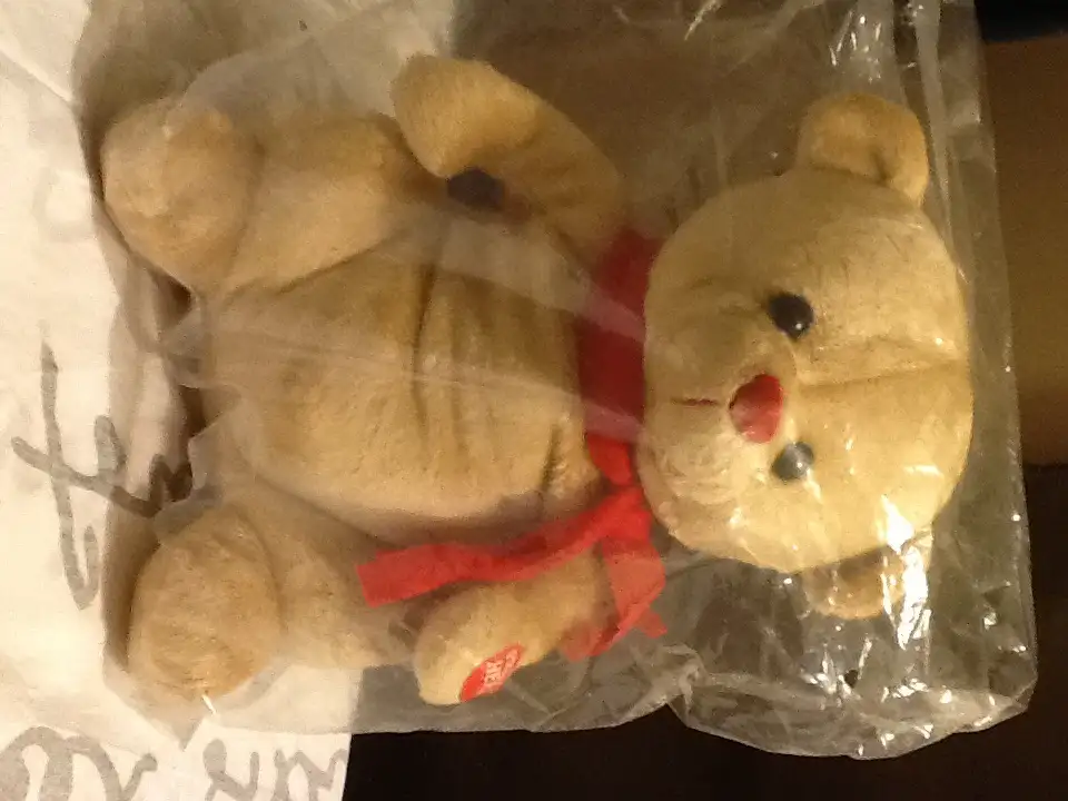 image.webp