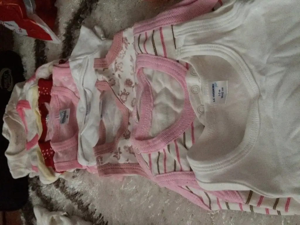 image.webp
