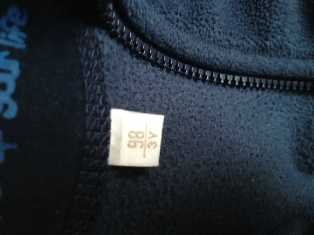 image.webp