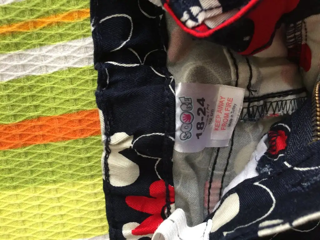 image.webp
