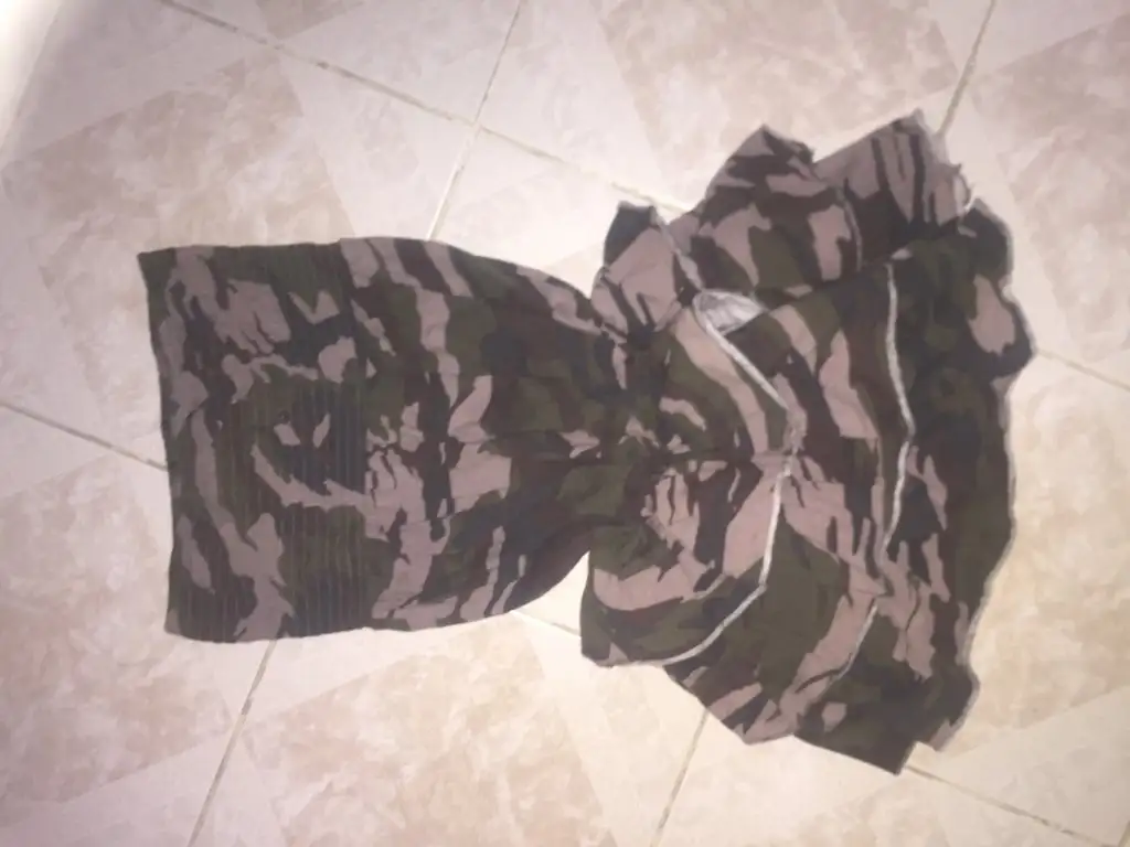 image.webp