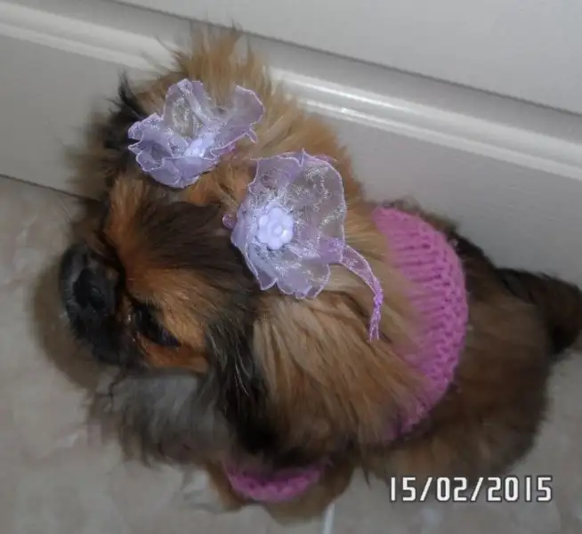 image.webp