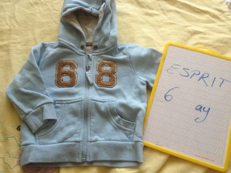 image.webp