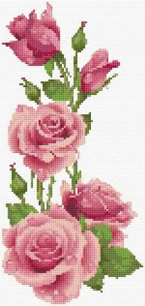 image.webp