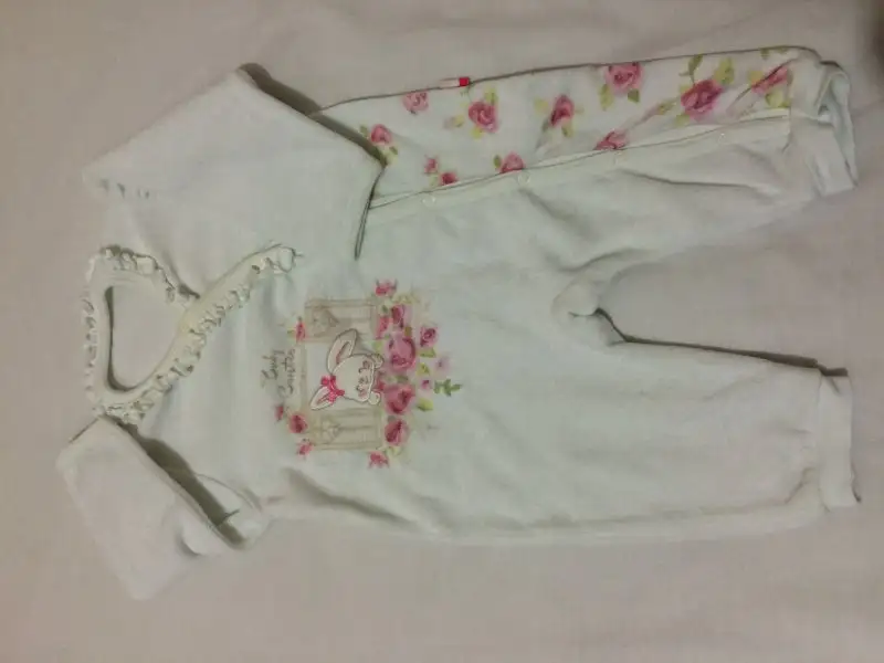 image.webp
