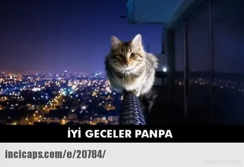 image.webp