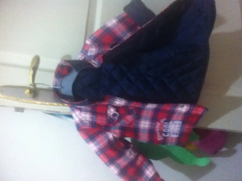 image.webp