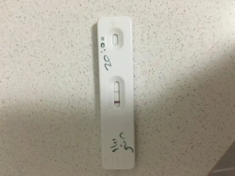 image.webp