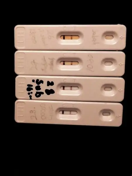 image.webp