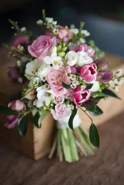 image.webp