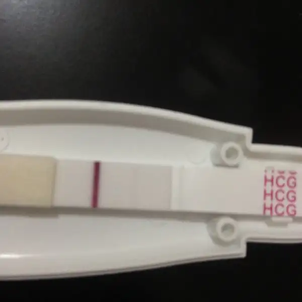 image.webp
