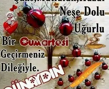 image.webp