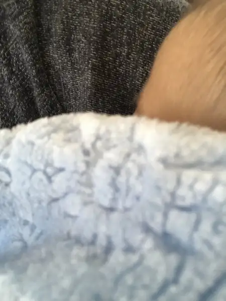 image.webp