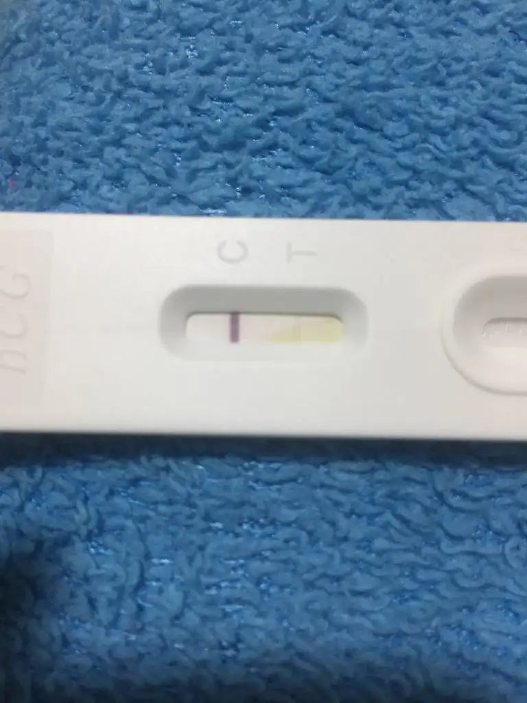 2262201