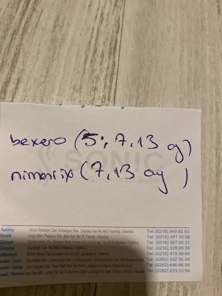 image.webp