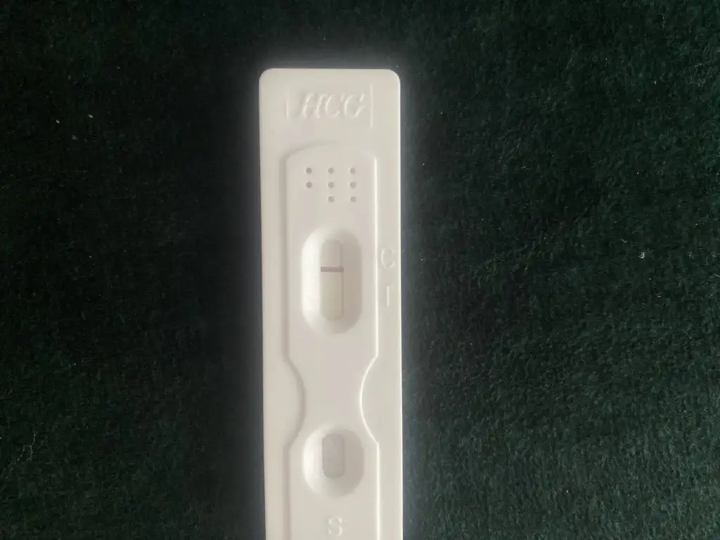 image.webp