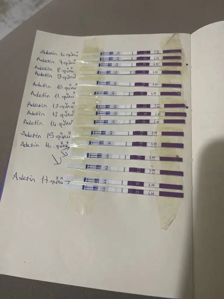image.webp