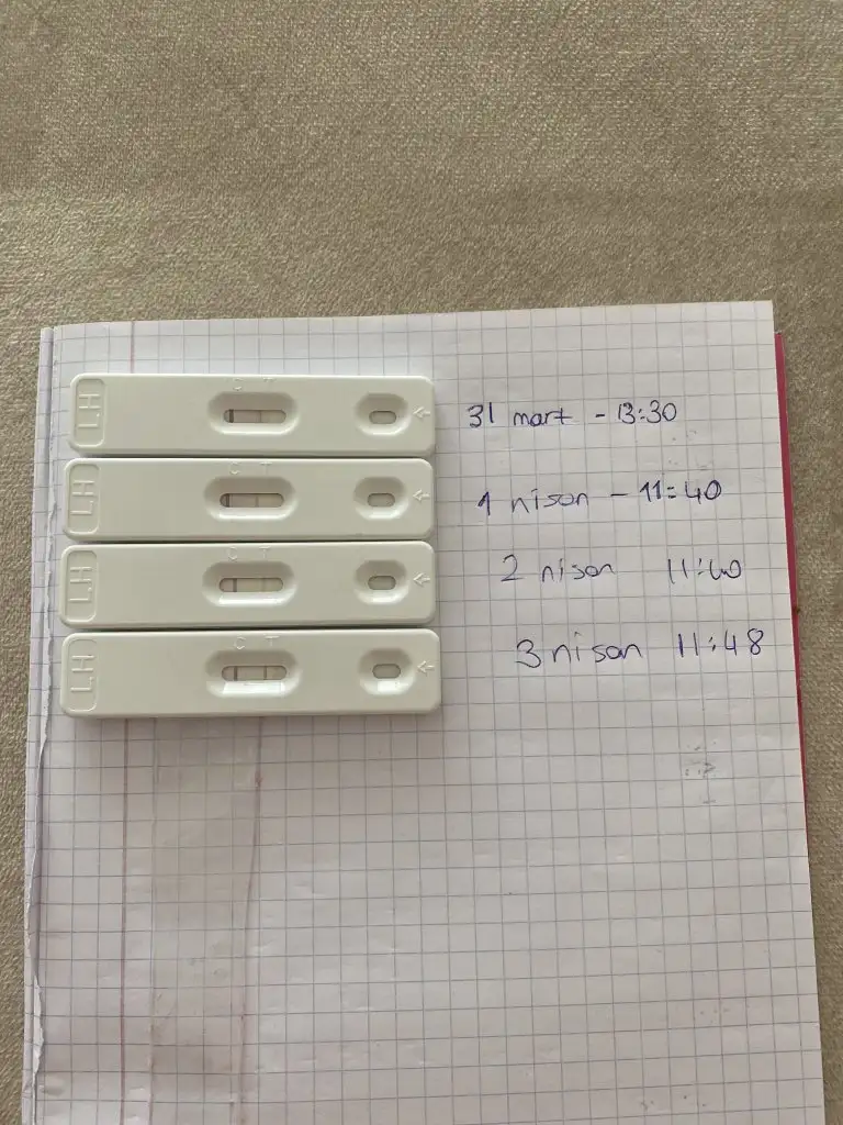 image.webp