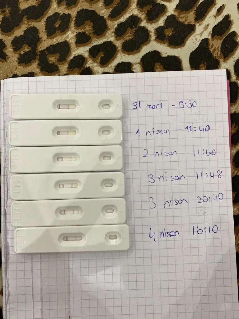 image.webp