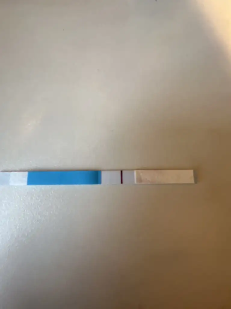 image.webp