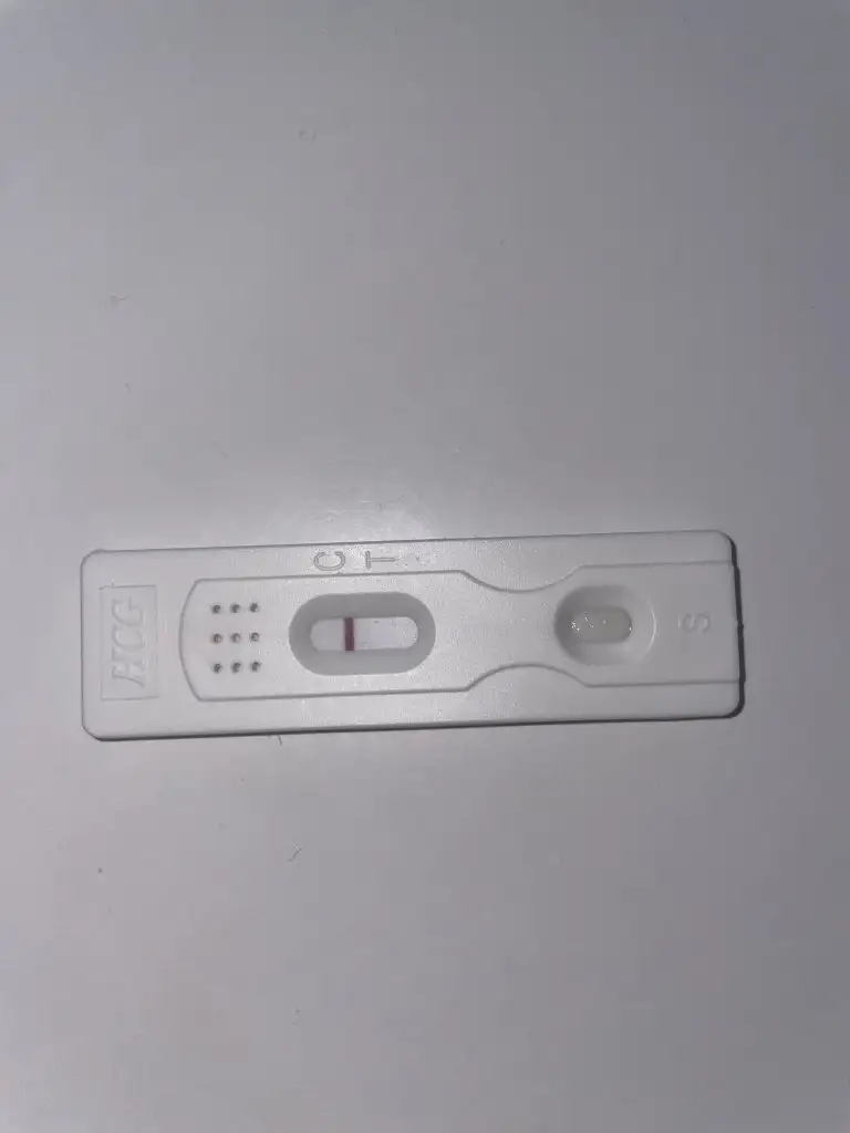 image.webp