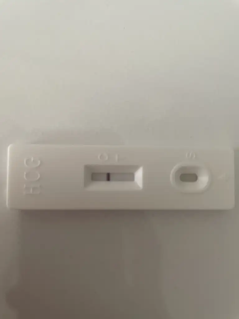 image.webp