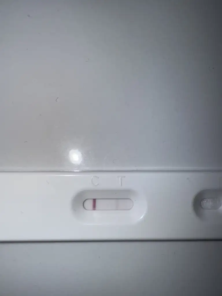 image.webp