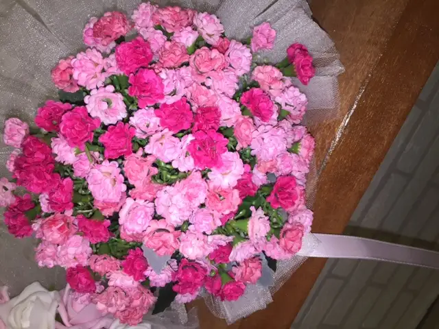 image1.webp