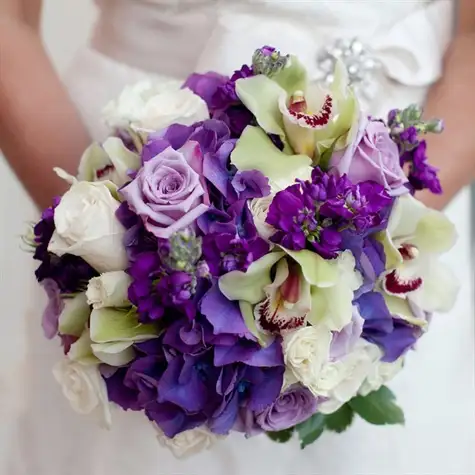 image475x475 (1).webp