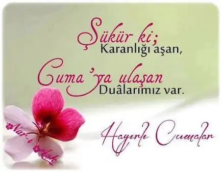 images (1).webp