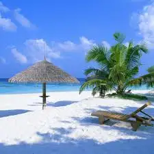 images (1).webp
