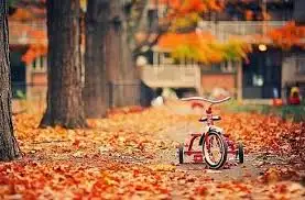 images-1.webp