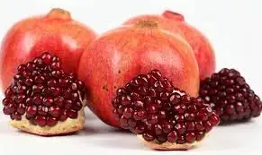 images (1).webp