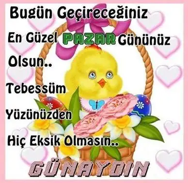 images (1).webp