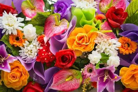 images-11.webp