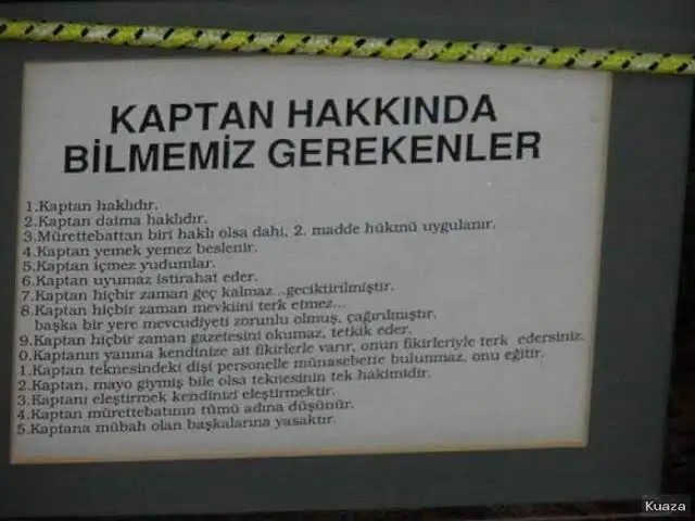 images (11).webp