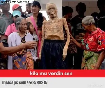 images (12).webp