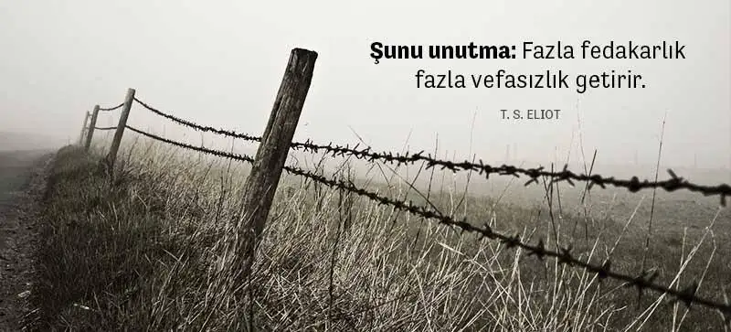images (12).jpeg