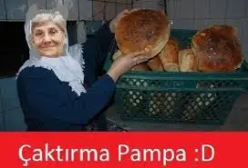 images-13.webp