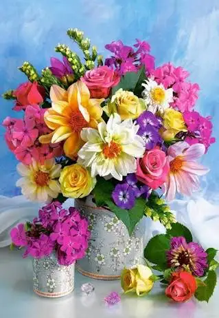 images-13.webp