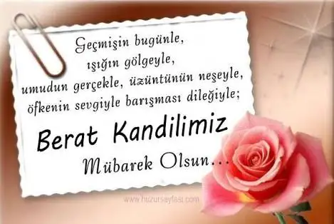 images-15.webp
