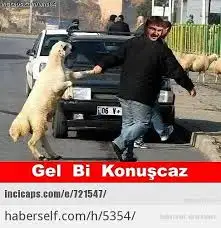 images (16).webp