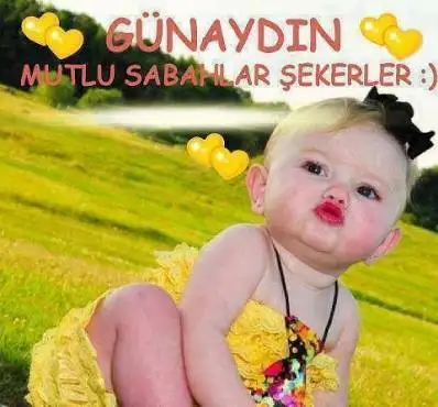 images-16.webp