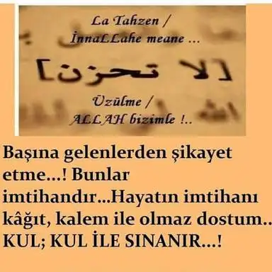 images (19).webp